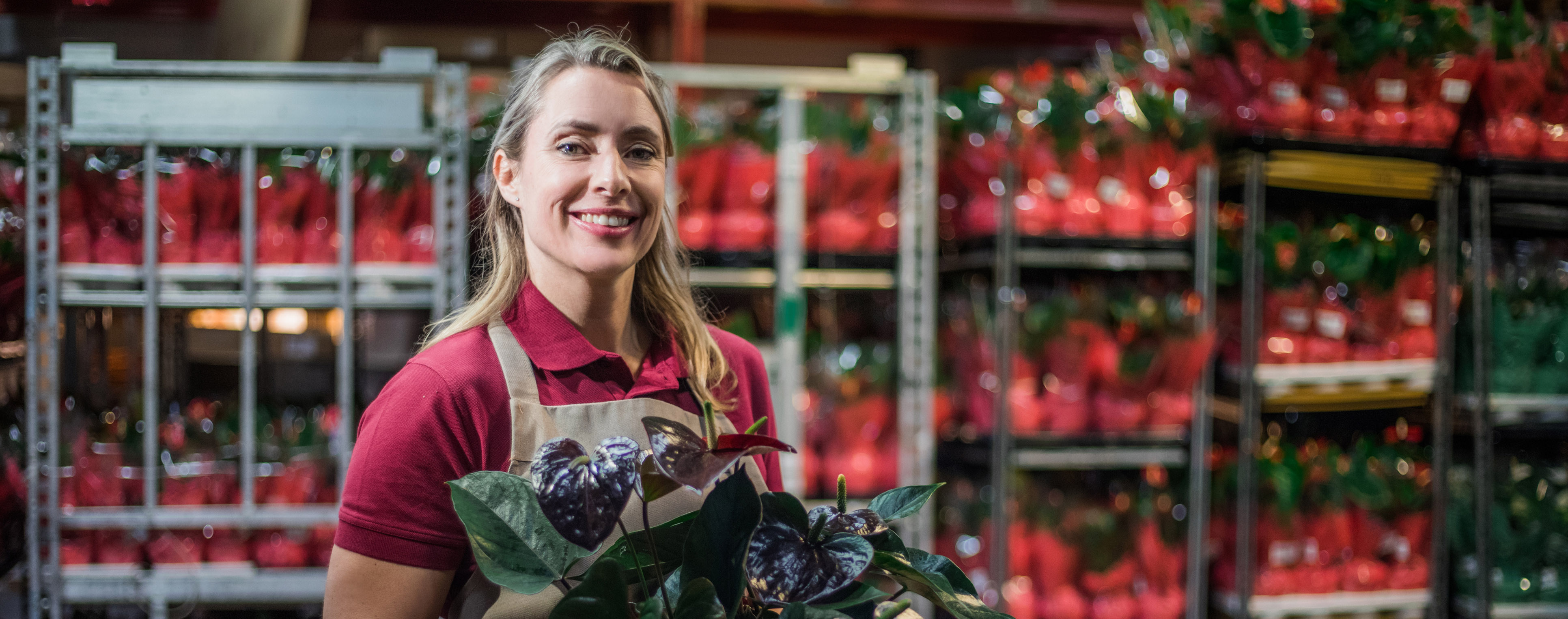 Medewerker Potplanten